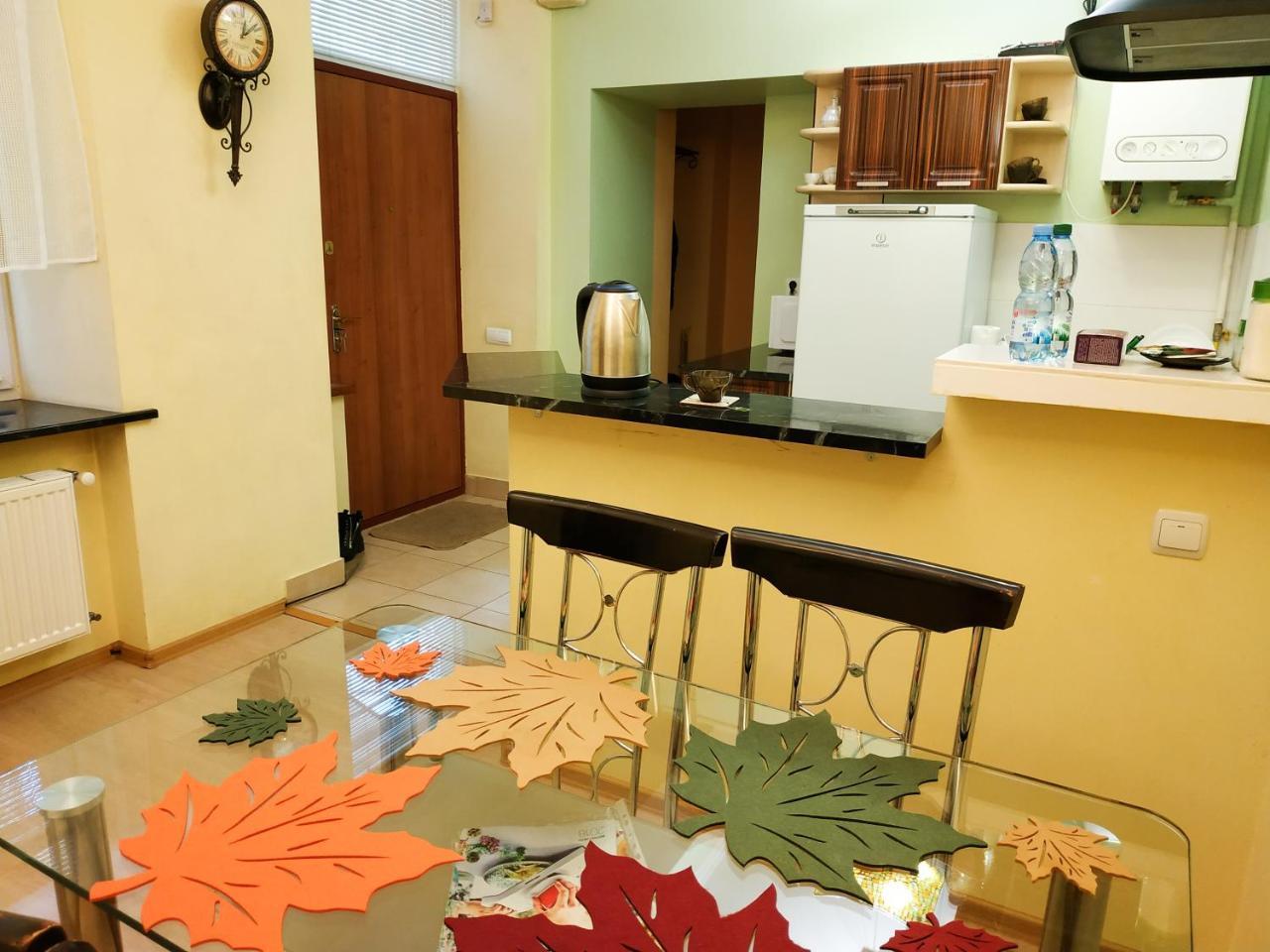 Lviv City Apartment *